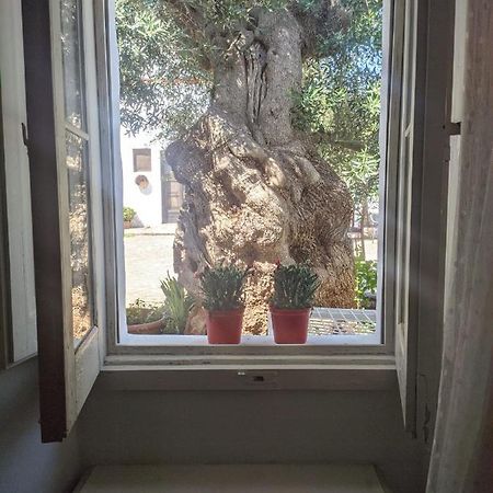 Masseria Vagone 마키아 디 몬테 외부 사진