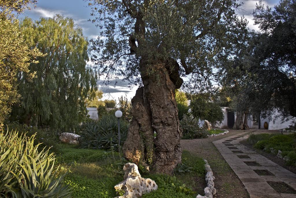 Masseria Vagone 마키아 디 몬테 외부 사진